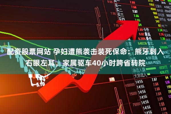 配资股票网站 孕妇遭熊袭击装死保命：熊牙刺入右眼左耳，家属驱车40小时跨省转院