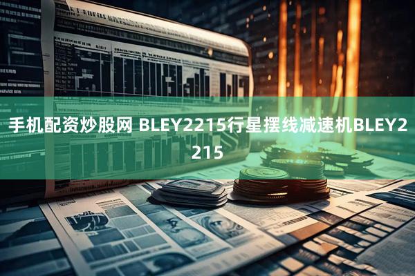 手机配资炒股网 BLEY2215行星摆线减速机BLEY2215