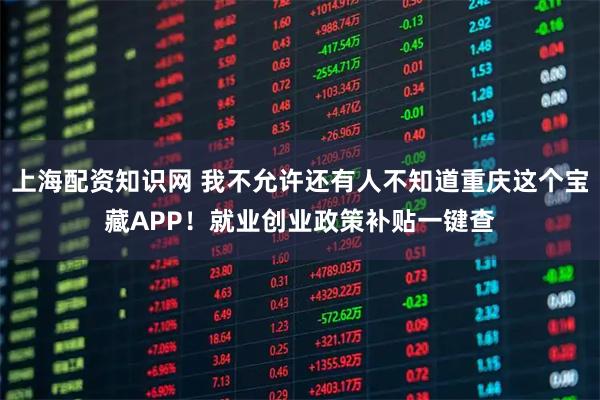上海配资知识网 我不允许还有人不知道重庆这个宝藏APP！就业创业政策补贴一键查